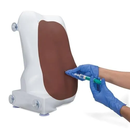 Epidural and Spinal Injection Trainer