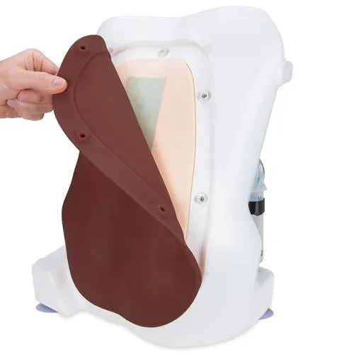 Epidural and Spinal Injection Trainer