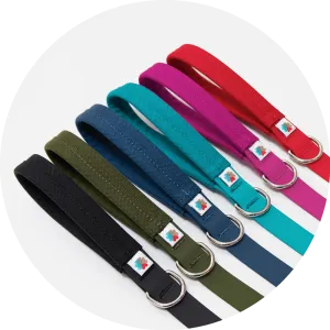 Funston Dog Leash