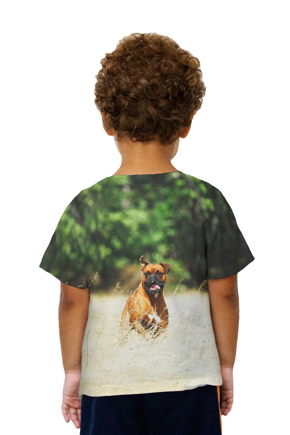 Kids Excited Boxer Sprinting