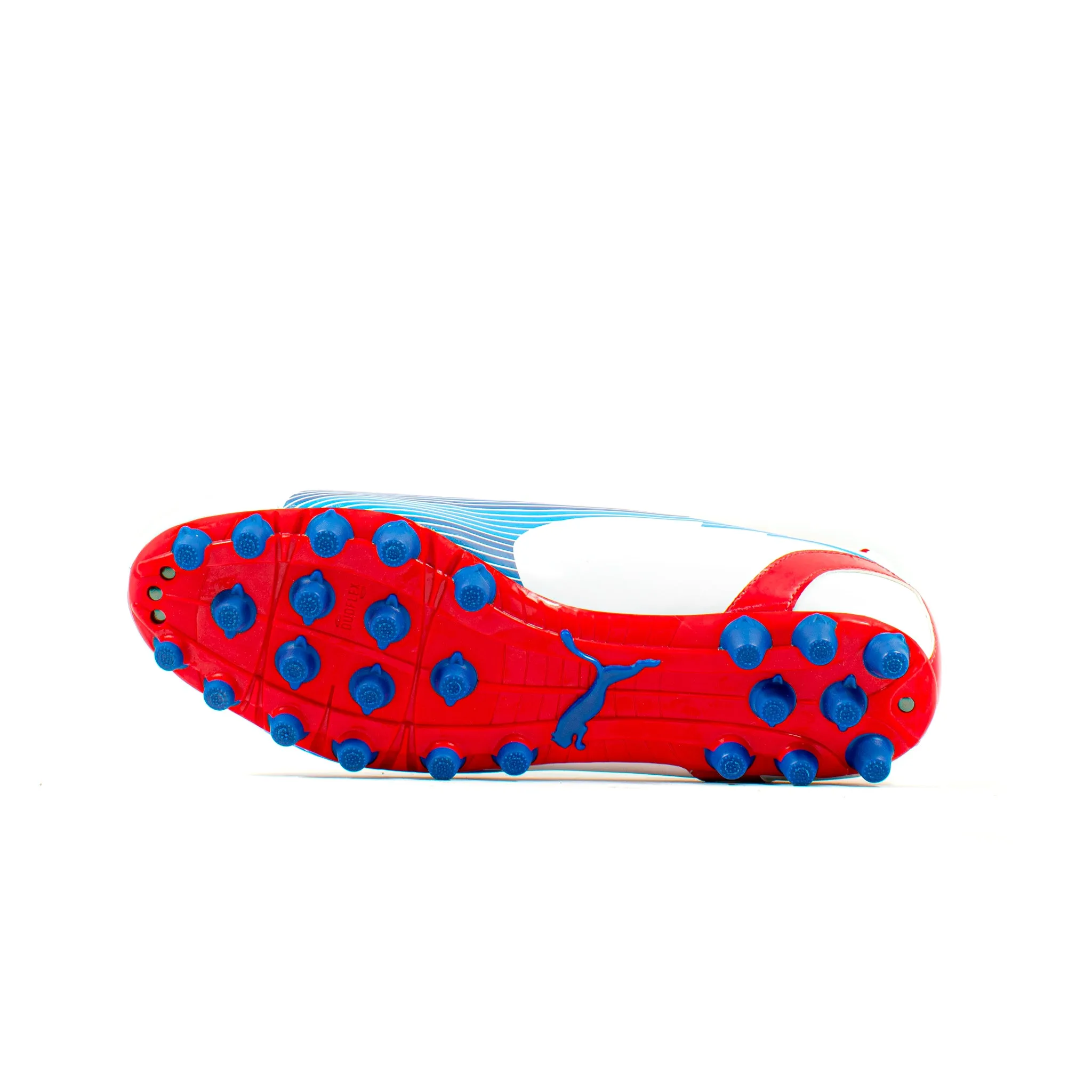 Puma EvoSpeed 5 White Blue AG